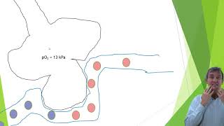 Andnorg 8  Gasutbyte gastransport del b [upl. by Constantin579]