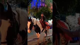 Horse ride at Chappan Indore shorts youtubeshorts horseriding [upl. by Inuat]