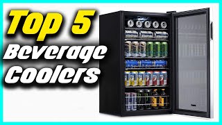 ✅The 5 Best Beverage Coolers in 2022 [upl. by Falzetta991]