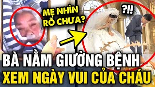 Xúc động hình ảnh người bà DỰ ĐÁM CƯỚI CHÁU qua màn hình điện thoại vì BỆNH TÌNH NẶNG  Tin 3 Phút [upl. by Favata542]