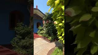 Rio resort hotel villas goa panaji beach traveldestinations southgoa northgoa travelling [upl. by Tnarb679]