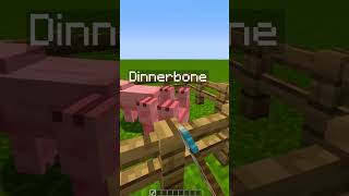 What happens when you name a Mob “Dinnerbone” shorts minecraft minigames [upl. by Edecrem]