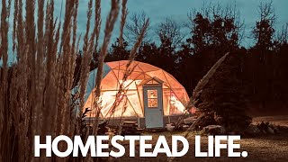 Installing Lights in our Geodesic Dome  Garden Harvest on our Zone 3 Homestead [upl. by Aileno]