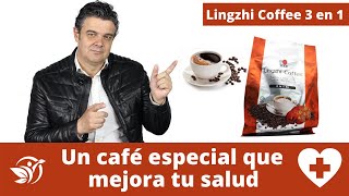 Lingzhi coffee 3 en 1 beneficios para tu salud  Café con ganoderma [upl. by Anonyw]