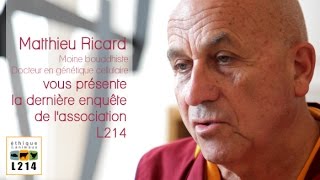 Matthieu Ricard commente une enquête de L214 sur lélevage de lapins [upl. by Leterg]