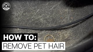 How to remove dog hair from carpet [upl. by Signe733]