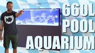 Das SCHÖNSTE Poolbecken in München 660L HIGHEND Aquarienbau [upl. by Marla923]