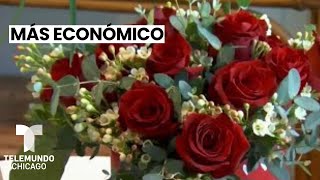 Illinois está entre los estados donde sale más económico comprar una docena de rosas [upl. by Nilpik63]