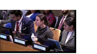 UN Ecosoc Youth Forum SDG 11 disability accessibility [upl. by Ellac]