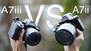 SONY A7ii VS A7iii VIDEO AUTOFOCUS COMPARISON 2019 [upl. by Ylrrad]