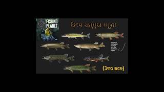 Не большое видео по игре Fishing planet🎣🍂 [upl. by Dessma]