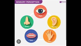 6 nov 2024 5 senses of body  हकलाना अभ्यास  stammering practice speaking practice [upl. by Halstead1]