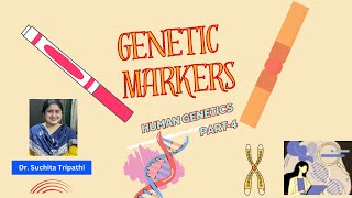 Genetic MarkersMolecular genetics 4AnthropologyInsightsforUPSCNETcuetugcnet upsc [upl. by Corilla62]