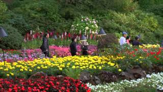 Butchart Gardens amp Victoria Highlights  Shore Excursion  NCL [upl. by Wini]