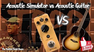 Acoustic Simulator vs Acoustic Guitar [upl. by Kaylee454]