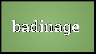 Badinage Meaning [upl. by Byrle193]