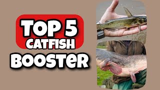 How to make Catfish Grow Faster  Top 5 Magic Fish Growth Booster [upl. by Kristina]