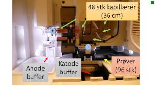 Kapillær elektroforese prinsipp ABI 3730 [upl. by Oel195]