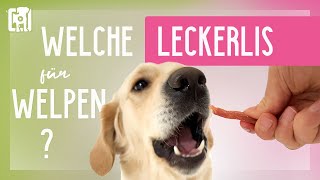 Welche Leckerlis für Welpen sind die besten Art Größe Tipps amp Tricks [upl. by Teragramyram]