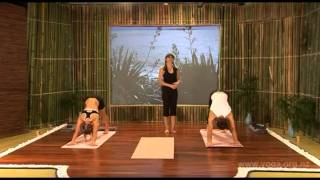 Yoga and the Art of Aging Full DVD Yoga Routine Week 1 full version [upl. by Claudine]