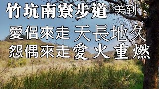 大年初一竹坑南寮古道走春，順做野菜教學 [upl. by Akira419]