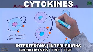 Cytokines  Classification and Functions [upl. by Dietz]