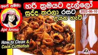 ✔ හරි ක්‍රමයට දැල්ලෝ සුද්ද කරලා රසට උයන හැටි Tasty Dallo curry cuttlefish by Apé Amma [upl. by Adnohsar]