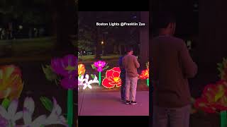 Boston Lights Franklin Park Zoo boston americancity usa [upl. by Nailluj]