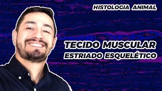 TECIDO MUSCULAR ESTRIADO ESQUELÉTICO [upl. by Ingeberg]