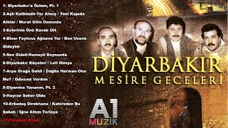 Diyarbakır Mesire Geceleri  Fincanın Etrafı [upl. by Yadahs658]