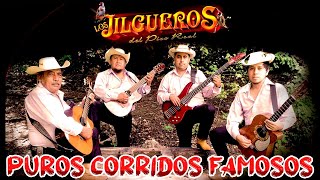 Los Jilgueros Del Pico Real  25 Corridos Perrones Album Completo [upl. by Henrietta87]