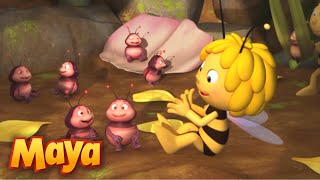 ¡Celebra el día de la madre con La Abeja Maya 🐝 Mejores Episodios  Episodio completo  10 minutos [upl. by Nailij]