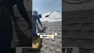 Shingle and ready to mingle 🤣🤣 roofing roofer construction funny laugh jokes [upl. by Sices]