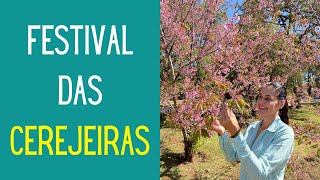 VIAJANDO E CONHECENDO PLANTAS Conheça o MARAVILHOSO festival das CEREJEIRAS [upl. by Ahtrim]