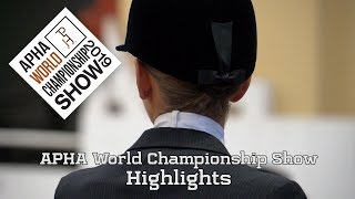 2019 APHA World Championship Show Highlights [upl. by Ahseeyt]