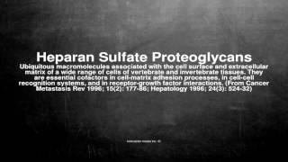 Medical vocabulary What does Heparan Sulfate Proteoglycans mean [upl. by Sitruk]