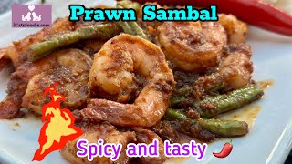 Quick Prawn Sambal big spicy flavour bomb [upl. by Avlis]