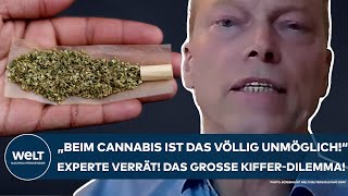 DEUTSCHLAND quotBeim Cannabis ist das völlig unmöglichquot Klartext vom Experten Das Dilemma der Kiffer [upl. by Quintus]