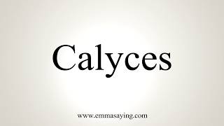 How To Pronounce Calyces [upl. by Krein821]