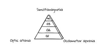 Balint syndrome  simultanagnosia optic ataxia oculomotor apraxia [upl. by Akinas32]