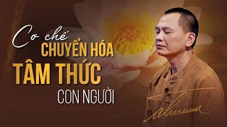 Cơ chế Chuyển Hóa Tâm Thức con người  Ngô Minh Tuấn  Học Viện CEO Hà Nội [upl. by Airliah]