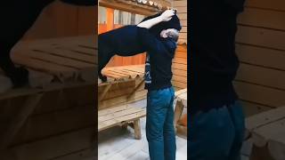 A cat became black panther shorts viralvideo black [upl. by Nitfa]