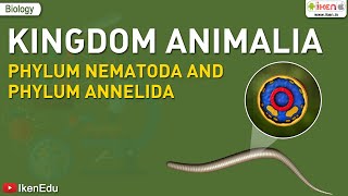 Kingdom Animalia Phylum Nematoda and Phylum Annelida  Biology  iKen  iKen Edu  iKen App [upl. by Sivam]