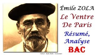 BAC  Émile ZOLA Le Ventre De Paris Résumé Analyse [upl. by Aihsemat]