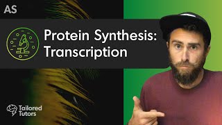 Protein Synthesis Transcription  A Level Biology Revision  AQA [upl. by Ogren75]