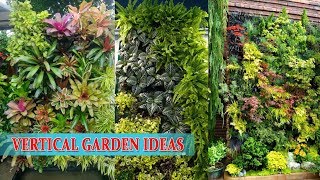 Wall Garden  Vertical Garden Ideas [upl. by Wiltsey]