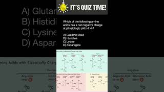 Amino acids quiz [upl. by Pamela447]