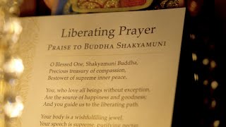 A friend that you can rely on  the Buddhist Prayer Liberating Prayer  Praise to Buddha Shakyamuni [upl. by Pavier591]