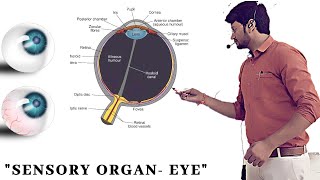 SENSE ORGAN  EYE  BASIC ANATOMY OF EYE  LECTUR1 NEET PREPARATION AIIMSJIPMERBHU EXAM HP SIR [upl. by Geraldina]