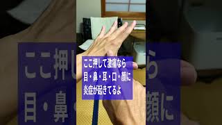 顔の炎症を抑えるツボ 鍼灸 マッサージ 風邪 中耳炎 口内炎 結膜炎 [upl. by Radec671]